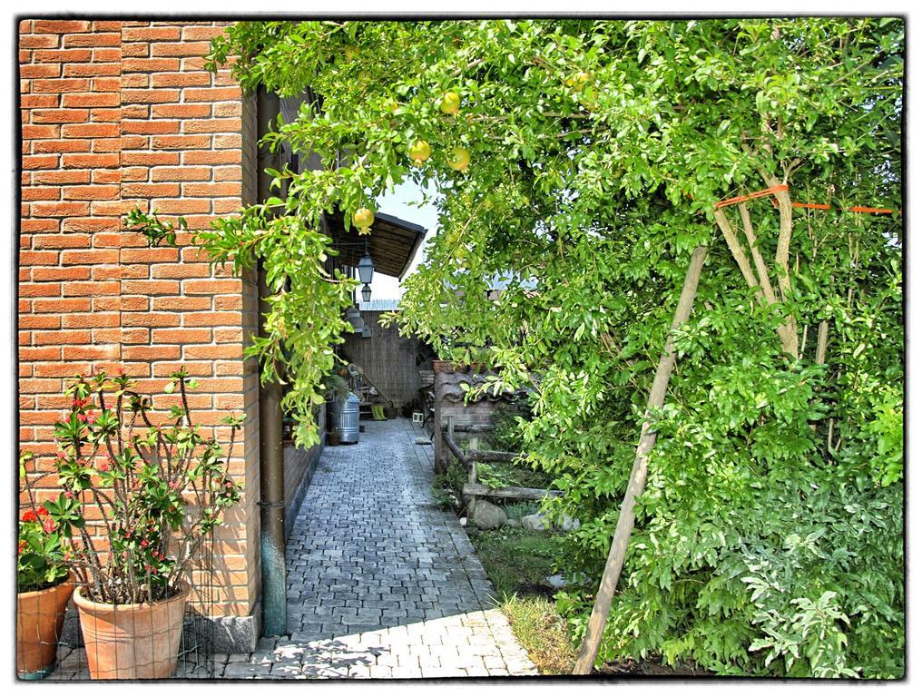 La Corte Del Macero Castelfranco Emilia Eksteriør billede
