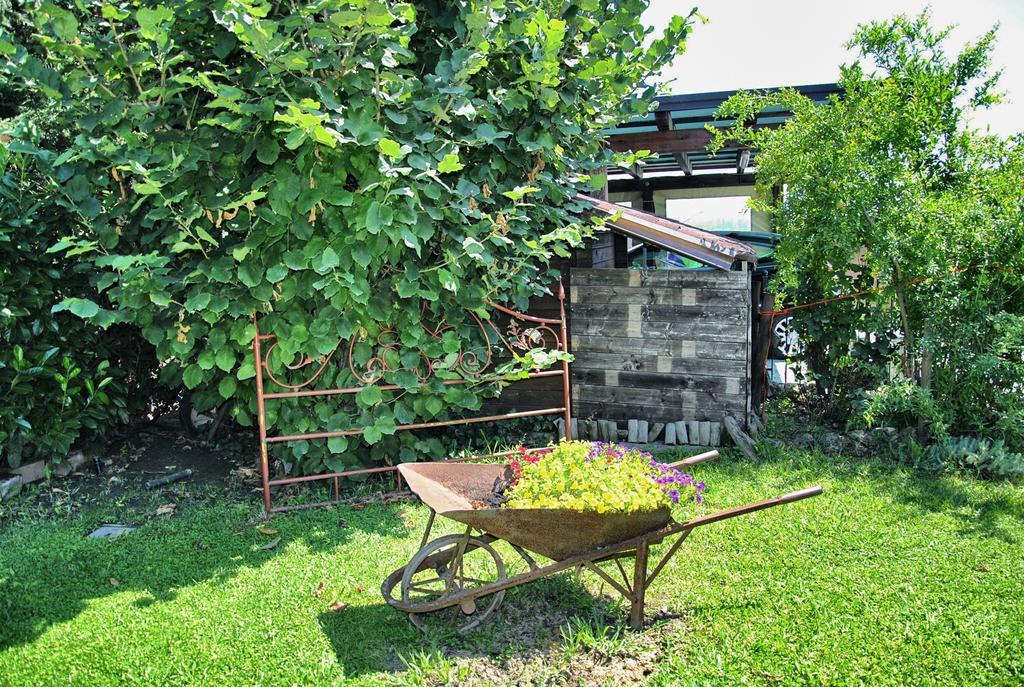 La Corte Del Macero Pensionat Castelfranco Emilia Eksteriør billede